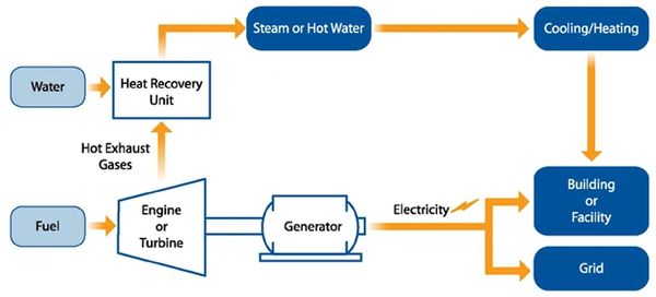 Co-Gen Works Diagram